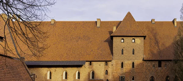 Château Ordre Teutonique Malbork Grand Château Monde Par Superficie Malbork — Photo