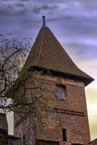 Lever Soleil Sur Château Ordre Teutonique Rivière Nogat Malbork Poméranie — Photo