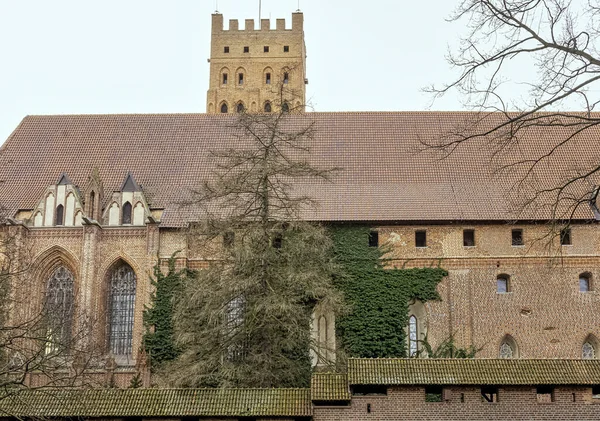 Hrad Teutonického Řádu Malborku Největší Hrad Světě Podle Území Malborku — Stock fotografie