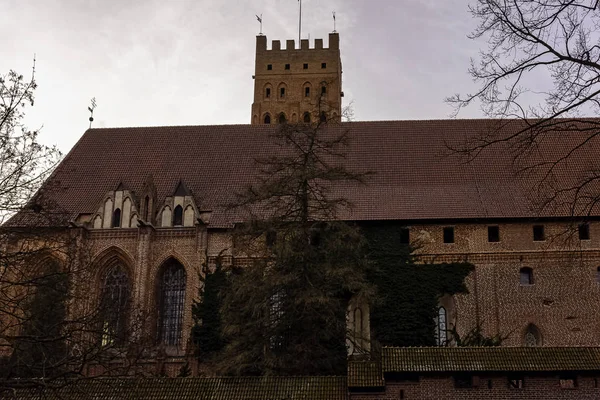 Malbork Taki Tötonik Düzen Kalesi Ocak 2020 Polonya Nın Malbork — Stok fotoğraf