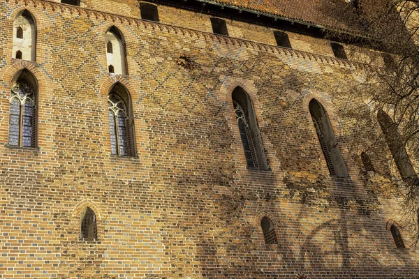 Castello Dell Ordine Teutonico Malbork Più Grande Castello Del Mondo — Foto Stock