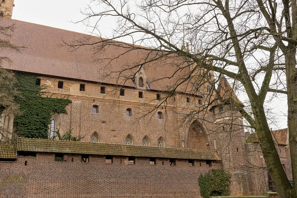 Castello Dell Ordine Teutonico Malbork Più Grande Castello Del Mondo — Foto Stock