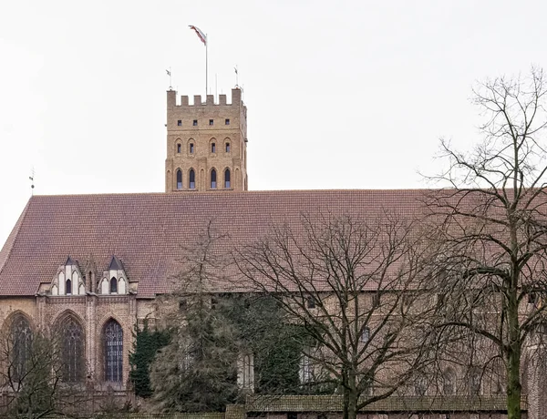 Ocak 2020 Polonya Pomerania Malbork Taki Alman Düzeni Kalesi — Stok fotoğraf