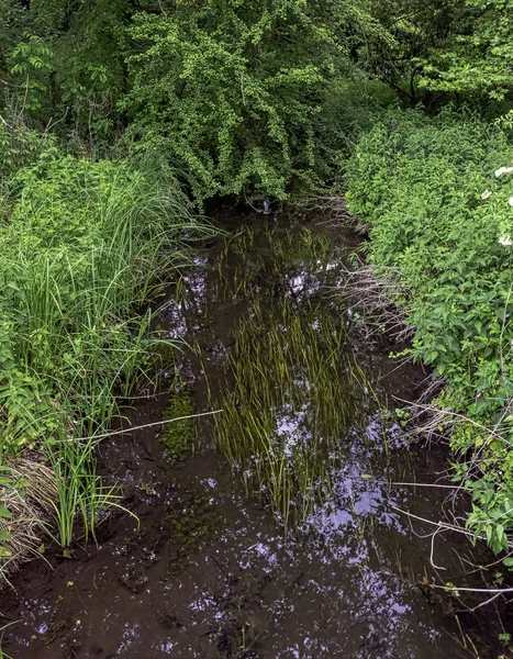 River Test Mottisfont Hampshire Verenigd Koninkrijk — Stockfoto