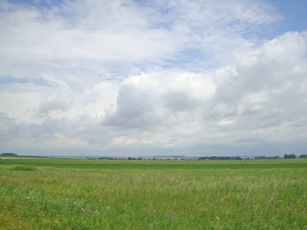 Paisaje verano rustic.white nubes sobre un campo verde — Foto de Stock