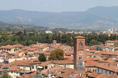Lucca Torre Guinigi kule görünümünü
