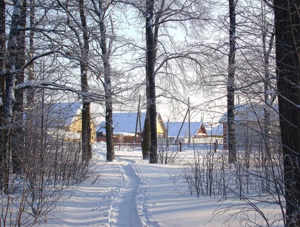 Χειμερινό μονοπάτι στο πάρκο — Φωτογραφία Αρχείου