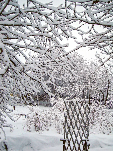 Jardim de inverno na aldeia — Fotografia de Stock