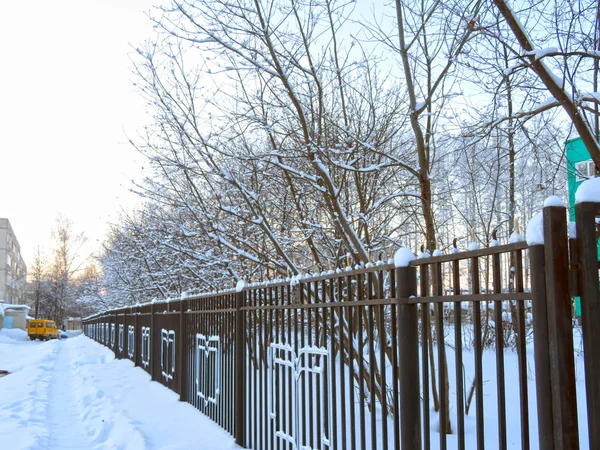 Beautiful metal fence with ornament — Stock Photo, Image