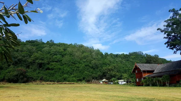 Starý dřevěný dům pod stromem na mountain view, krajina vesnice — Stock fotografie