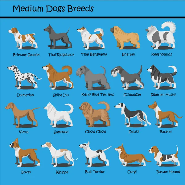 Medium hond stripfiguren — Stockvector