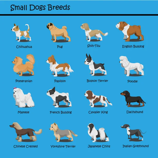 Personajes de dibujos animados perro pequeño — Archivo Imágenes Vectoriales