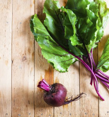 Pancar eski ahşap kurullarında taze yeşil üstleri ile. Wabi Sabi stili