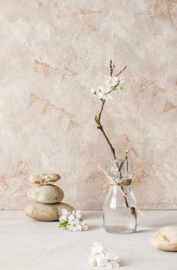 Çiçek açması insanlar ağaçlar wabi Sabi tarzında dokulu duvar arka plan üzerinde bir dalı ile natürmort. Seçici odak.