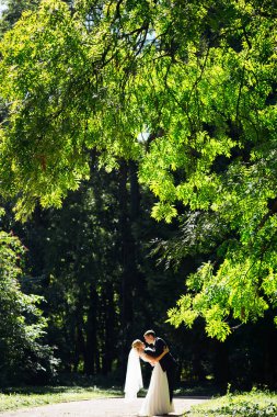 Harika Düğün çifti eğleniyor parkta. Güzel gelin