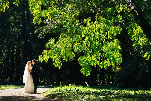 Güzel düğün çifti birlikte yeşil ağaç dalı altında duruyor. l