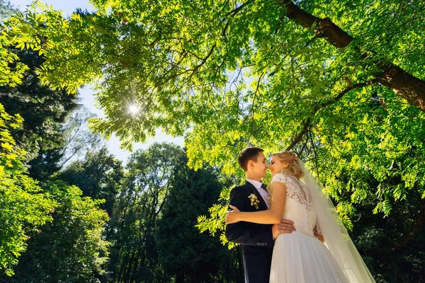 Güzel düğün birkaç yeşil parlayan güneş ile öpüşme