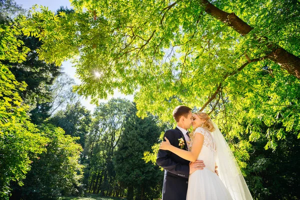 Groom og brud har romantiske øjeblikke alene i de grønne fores - Stock-foto