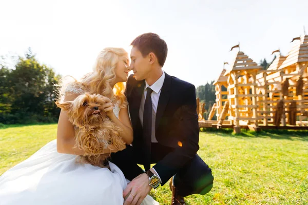 Feliz beijo casal segurar um pequeno yorkshire terrier em um verde l — Fotografia de Stock