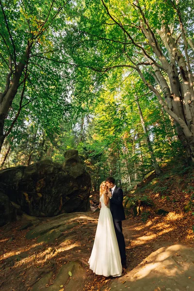 Día de la boda. Alegre novia y novio al aire libre en el pintoresco —  Fotos de Stock