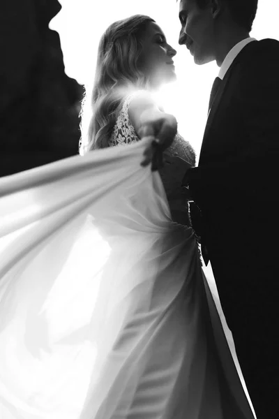 Φυσικό πορτρέτο της νύφης και του γαμπρού, αγκαλιάζοντας. Μαύρο και άσπρο τ — Φωτογραφία Αρχείου