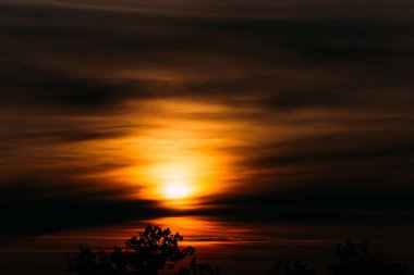 Dramatik yumuşak gökyüzünde ağaç siluetleri ile nefes kesen güzel gün batımı. Arka plan Sunrise