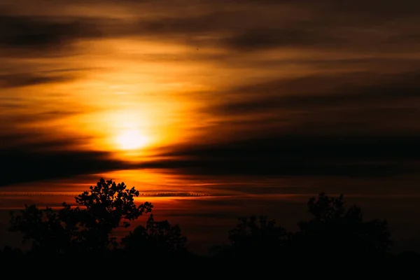 Incredibilmente bello tramonto attraverso le nuvole sottili e sil albero — Foto Stock