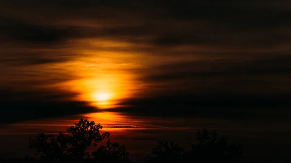 Vista Panorâmica Pôr Sol Africano Céu Laranja Silhueta Árvores — Fotografia de Stock