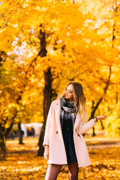 秋の公園は飽和のオレンジ色の紅葉に囲まれたカメラのポーズでファッションモデル — ストック写真