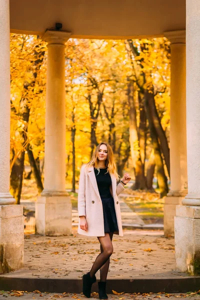 Jeune Femme Debout Près Des Colonnes Dans Parc Automne — Photo