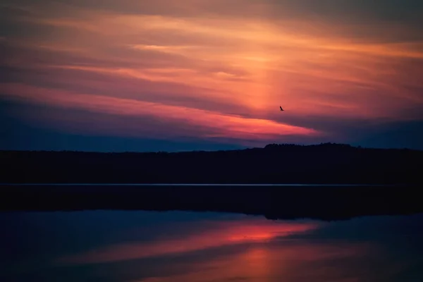 Increíble hermoso cielo rosa antes del amanecer con águila volando i — Foto de Stock