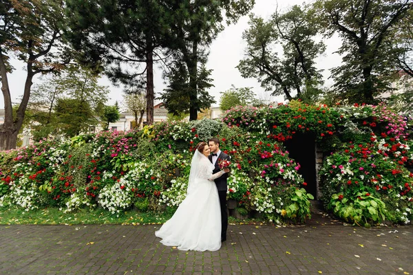 新婚夫婦の美しい花壇周りに公園でポーズをとって、 — ストック写真