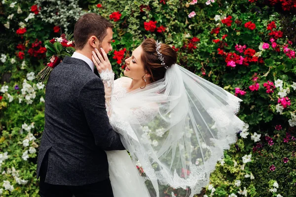 Noiva em um belo vestido e véu de casamento com aparência ternura — Fotografia de Stock