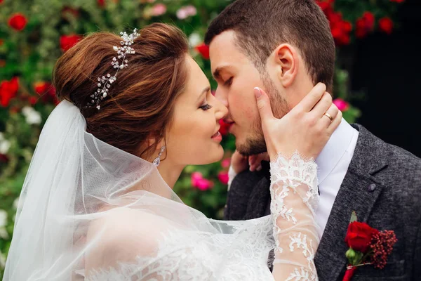 Bride Bridal Veil Lace Kisses His Beloved Groom — Stock Photo, Image