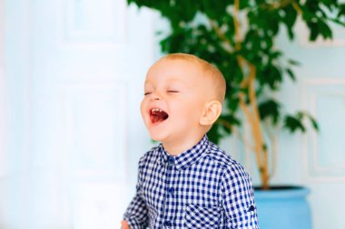 genç bir çocuğun bir arka plan ile yeşil bir bitki büyük bir vazo içten gülümseme