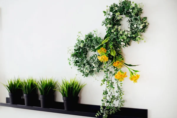 Une Étagère Avec Des Pots Dans Lesquels Pousse Une Herbe — Photo