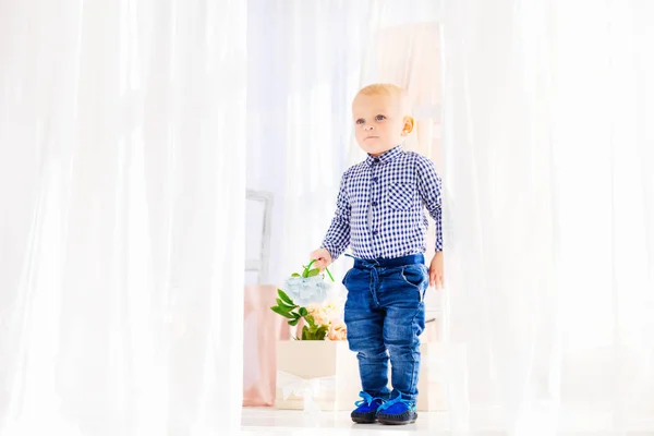 Маленький мальчик в хорошей одежде держит синий цветок на спине — стоковое фото