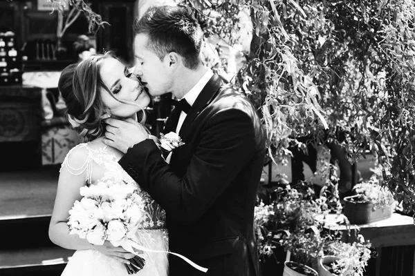 Bräutigam küsst und umarmt seine Frau vor der Kulisse — Stockfoto