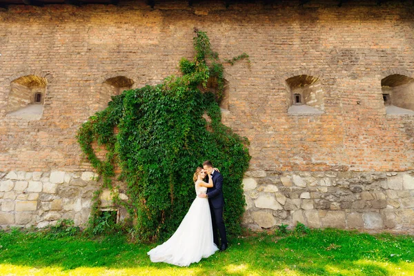 Damat gelini bir tuğla w arka planı kucaklayan