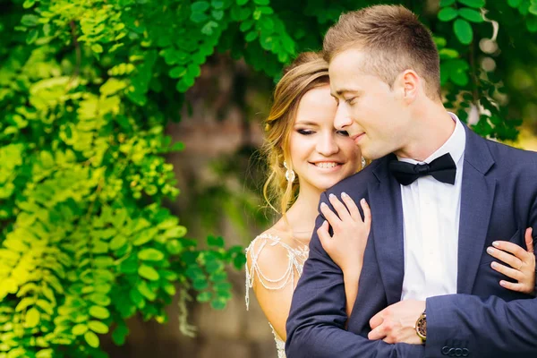 Casal Inacreditável Recém Casados Perto Uma Árvore Verde — Fotografia de Stock