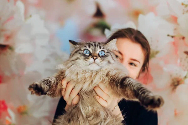 Glad Flicka Håller Katt Framför Sig Står Mot Bakgrunden Vägg — Stockfoto