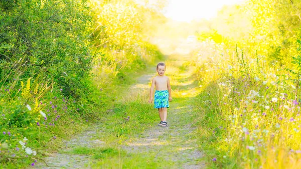 Niño Pequeño Pantalones Cortos Encuentra Camino Entre Hierba Verde Alta —  Fotos de Stock