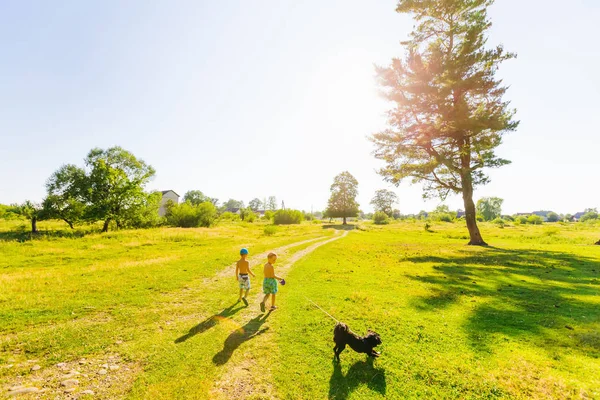 two children go on a sunny lawn and the dog runs on a leash next to them