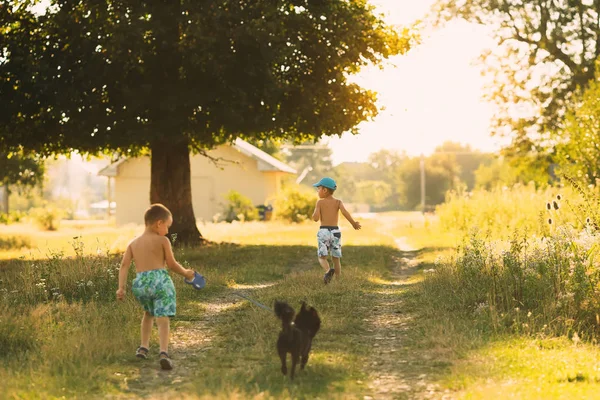 Niños corriendo en un camino de tierra con un perro con una correa cerca de la t —  Fotos de Stock