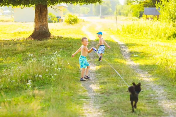 Niños jugando con un perro con una correa en un camino rural —  Fotos de Stock