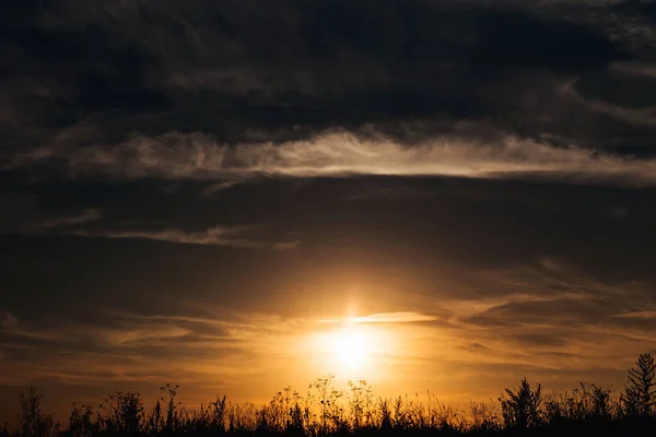 Silhouette d'erba nel prato e tramonto nel cielo con clo — Foto Stock