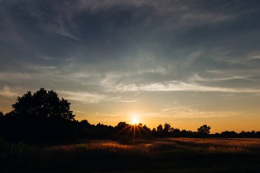 güneş ışınları alacakaranlıkta ağaçların buğday ve karanlık siluetleri ile sahada parlıyor