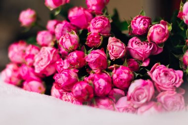 bir close-up hassas ve karmaşık pembe güller