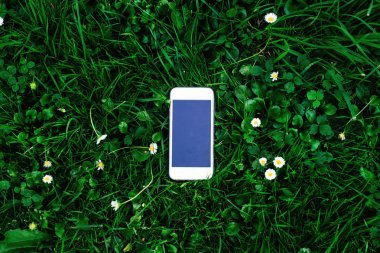 yeşil çimen, küçük beyaz çiçekler ve ortasındaki beyaz bir telefon