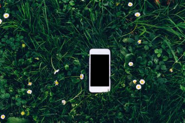 Hangi bir ekran ile bir telefon yakın çekim yeşil çim yatıyor